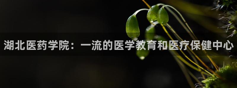 九游会真假