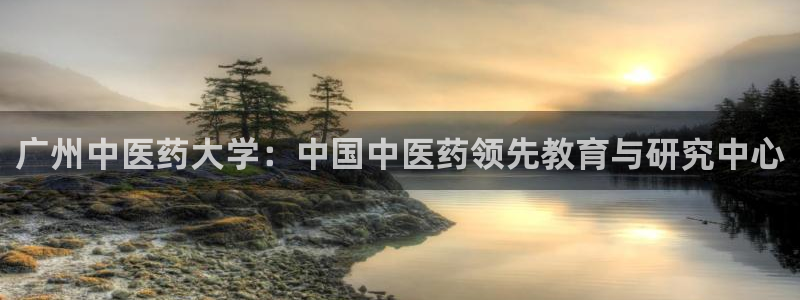 九游j9打不开