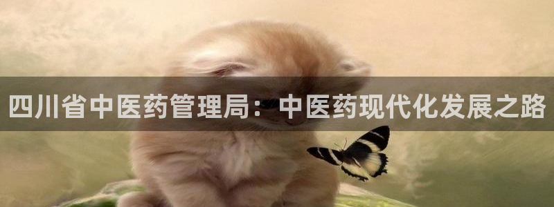 ag九游会微博