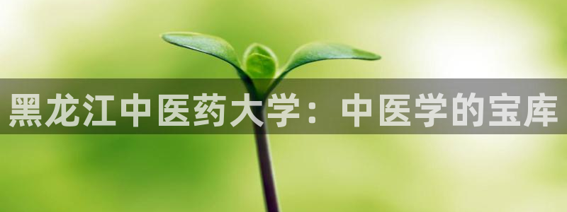 j9九游会官方网站