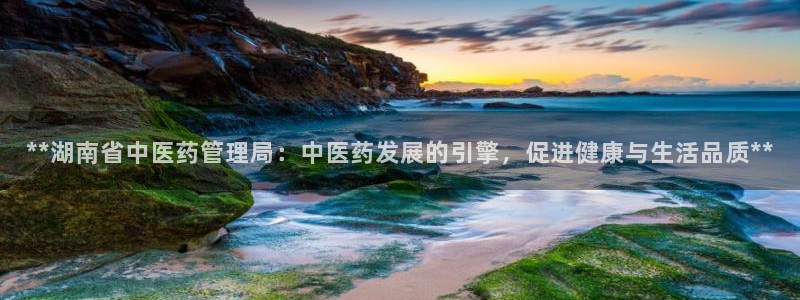 九游会平台网址