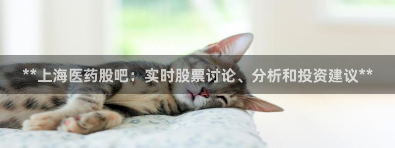J9九游会九游国际版