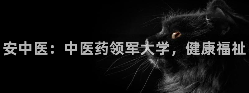 ag九游官网登录