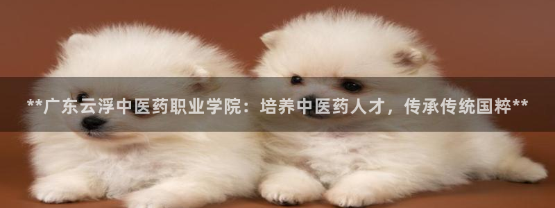 J9九游会旧版