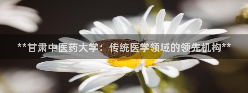 ag九游会论坛