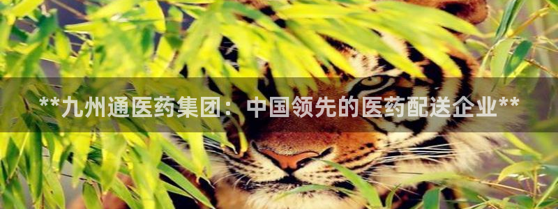 j9九游会老哥俱乐部联系方式