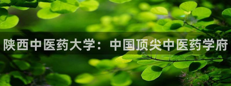 九游会游戏官网