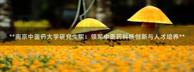 九游会的网址是多少