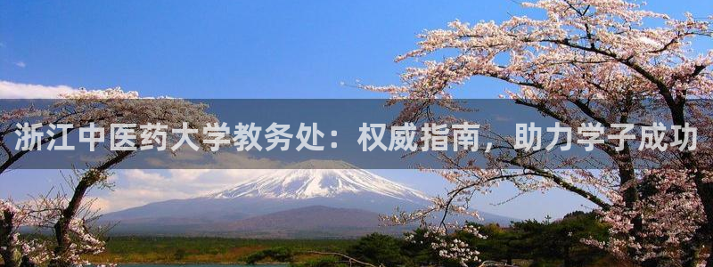 j9九游会游戏