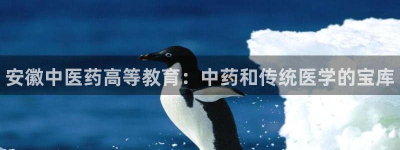 九游会是干嘛的游戏