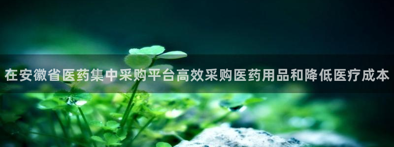 九游会ag官方网站在哪