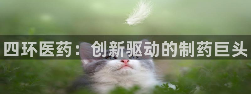J9九游会登陆旧版