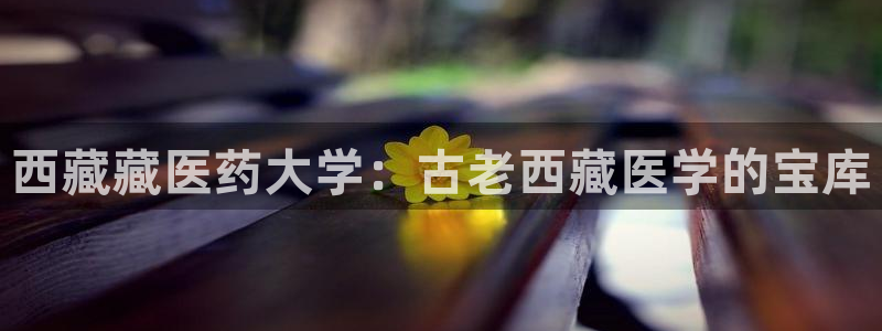 j9九游会