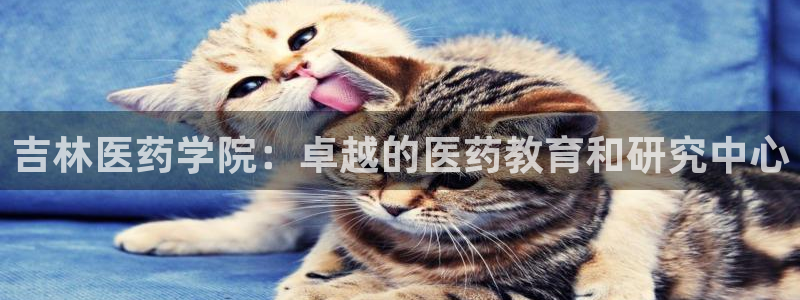 ag久游会