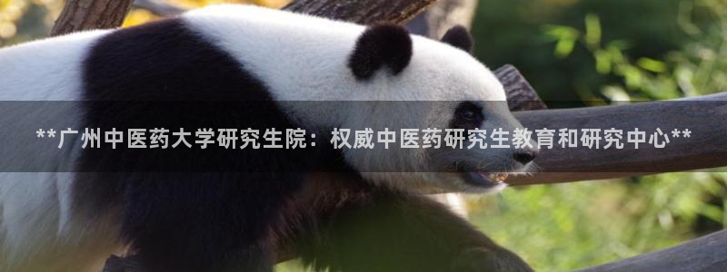 九游会官网ag旧版