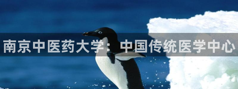 九游会国际厅有限责任公司