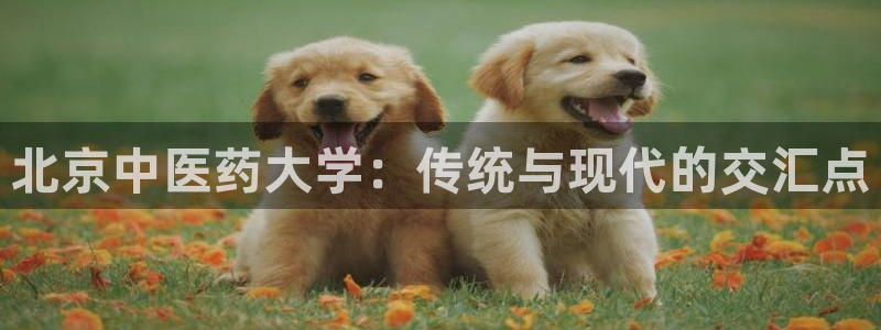 ag九游会app