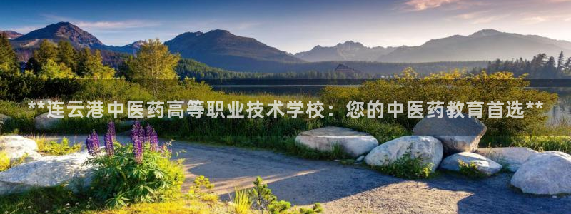 九游会官网入口ag亚洲