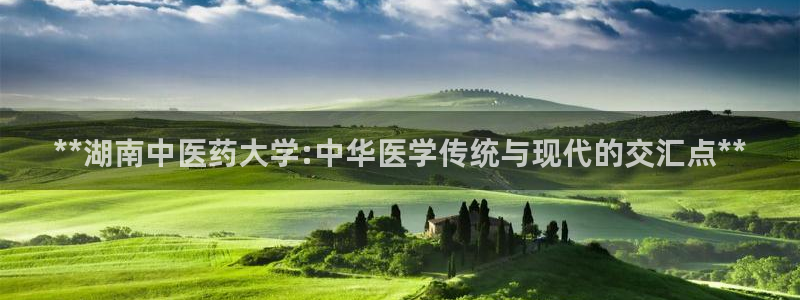 ag改名九游会