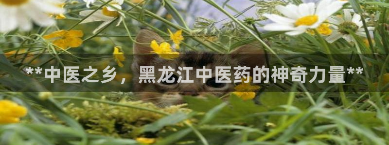 九游会ag登录j9