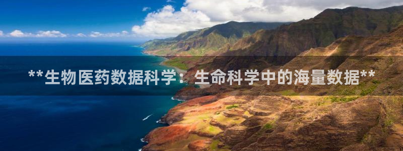九游会国际厅登录 - j9九游会首页登录新版