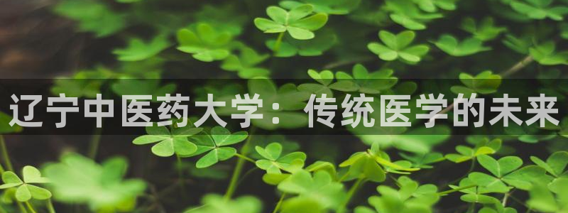 九游会国际厅有限责任公司