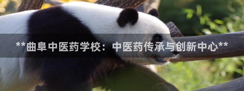 九游会官方下载