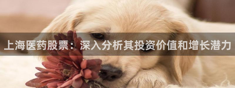 九游会ag登入