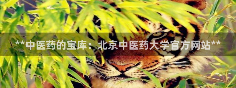 j9九游会怎么样