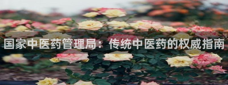 九游会官方地址