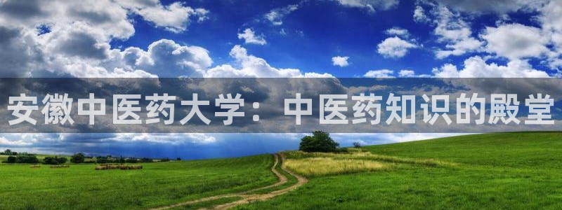 j9官网豪华游