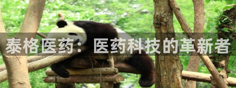 九游会视讯,九游会视讯厅