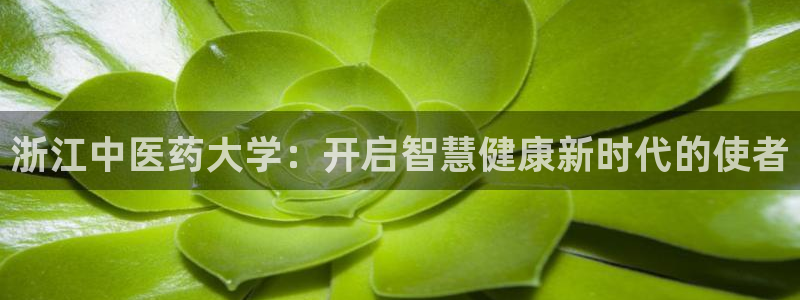 九游会 网址