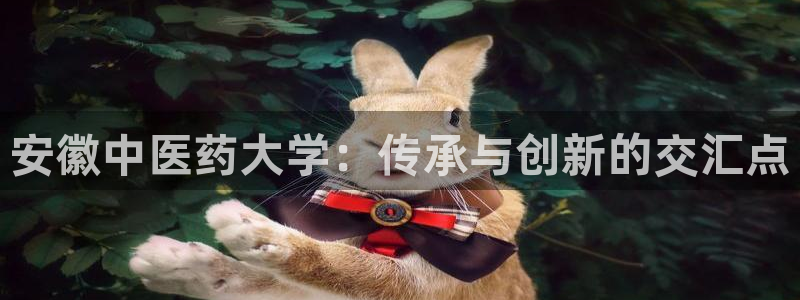 九游会ag真人官网在哪
