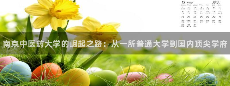 9游会app