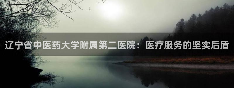 九游会游戏官网：辽宁