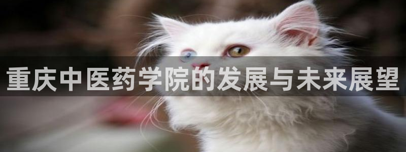 九游会ag首页：重庆