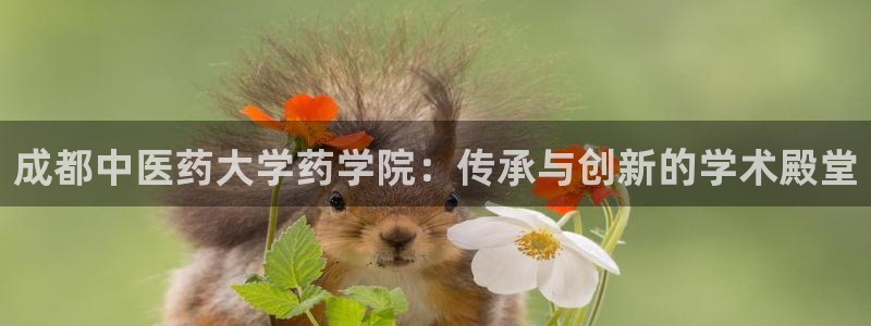 九游会app下载版官网正版安卓