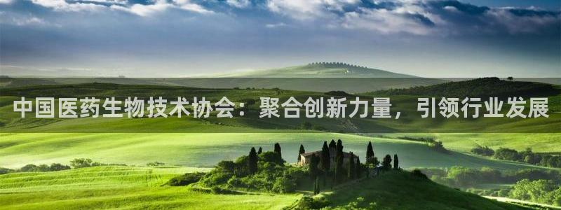 九游会跟ag是怎么一回事