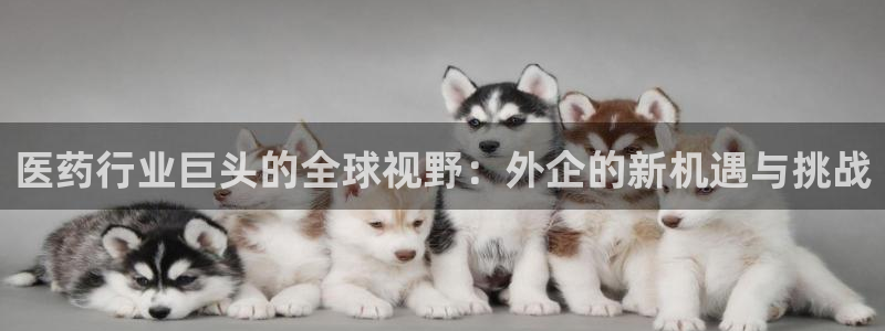 九游会官网多少