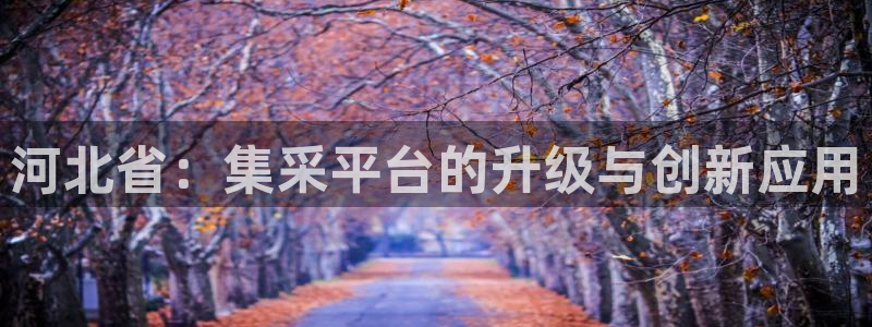 九游会app下载版官