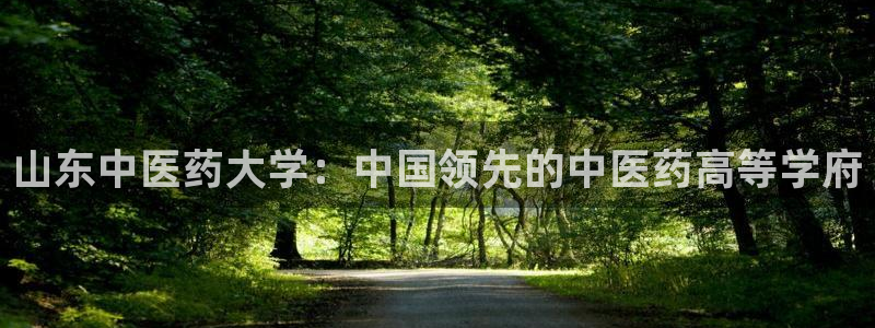 j9九游会登录入口首页