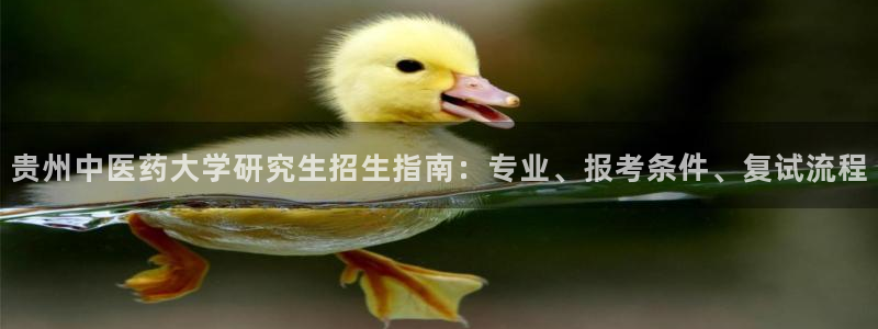 九游会j9国际站 - j9游会官方网页版