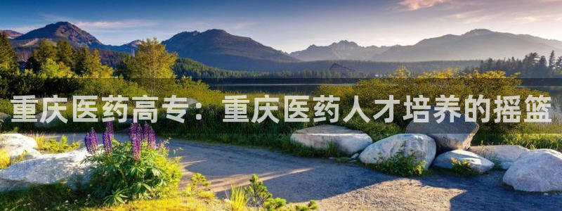 九游会集团新的选择