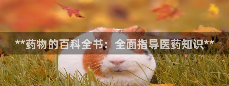 九游会中国j9 09.ag