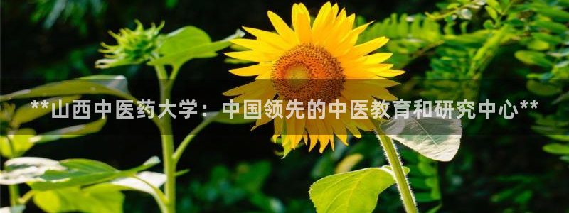 j9九游会老哥俱乐部联系方式