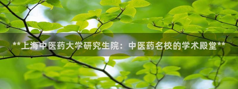 九游会账号登录网址