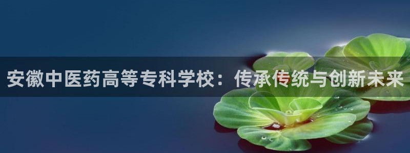 九游会j9全站平台