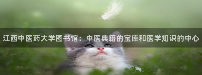 九游会平台最强