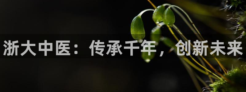 九游会提款安全吗